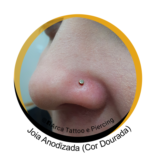 Piercing Nariz Com Jóia em Titânio